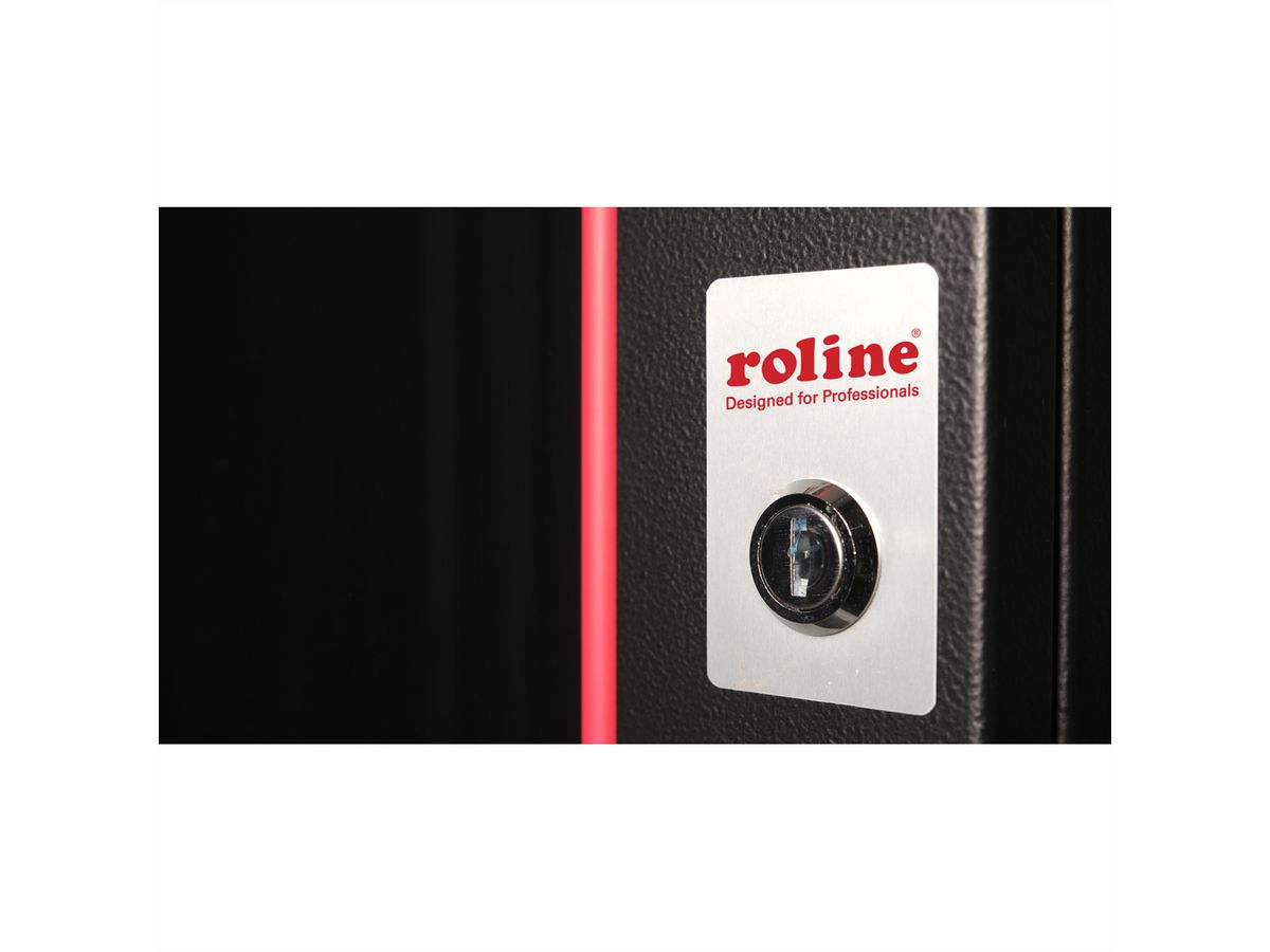 ROLINE 19" Boîtier mural Pro 12U, 600x450 LxP noir