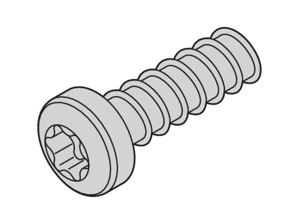 Vis à tête cylindrique de SCHROFF, Torx, Ø 2.5 mm, longueur 9.3 mm, déformation du fil, acier zingué